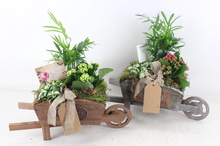 <h4>arr2 TD - Houten kruiwagen - wit/roze</h4>