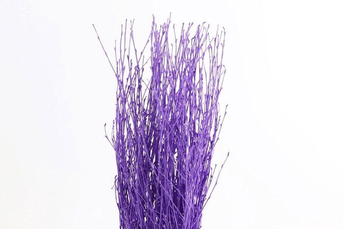 <h4>Berk Klb Lavender</h4>