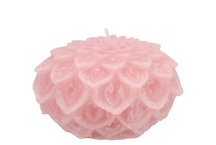 Candle Dahlia Light Pink 12x8cm