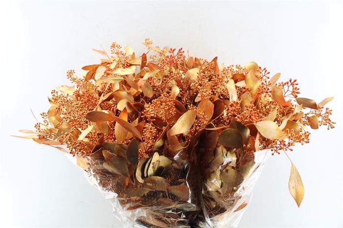 <h4>EUCA POPULUS BERRY METAL COPPER H%*</h4>