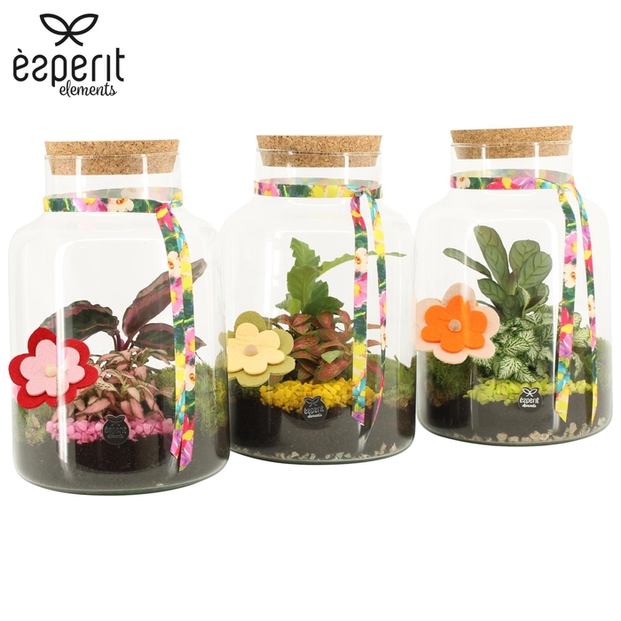 <h4>31792: Reinvention terrarium</h4>