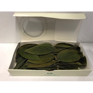 Velvet leaves geel 150pc