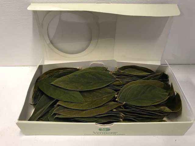 <h4>Velvet leaves geel 150pc</h4>