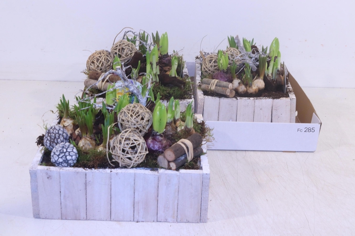 <h4>ARR BOL KNOLGEWAS</h4>