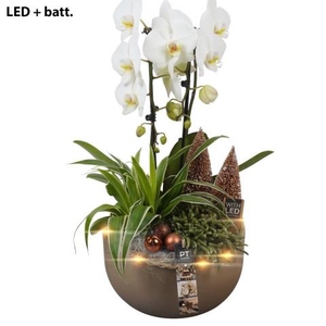 PTCHB9742 Arrangementen Kerst