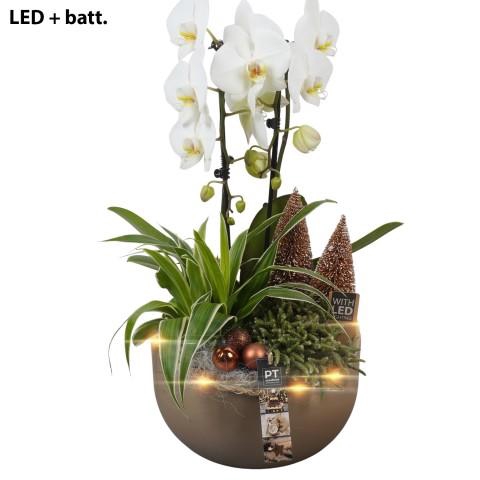 <h4>PTCHB9742 Arrangementen Kerst</h4>