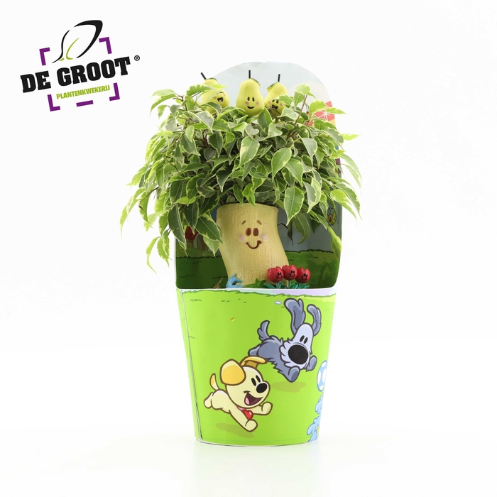 <h4>Tante Perenboom</h4>