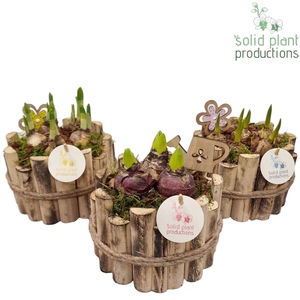 HHTM001 Milano Small Mix