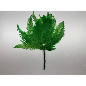 Pres Bracken Fern Darkgreen 10pcs Bunch