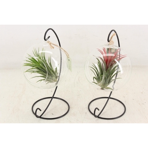 arr3 CP - Till. Glas hangbol x6 frame