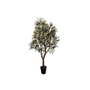 Silk Olive Tree Green 240cm