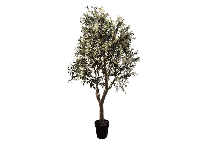 <h4>Silk Olive Tree Green 240cm</h4>