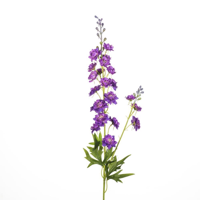 <h4>AF Delphinium L85cm Purple</h4>