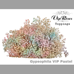 GYPS PA VIP PASTEL MIX