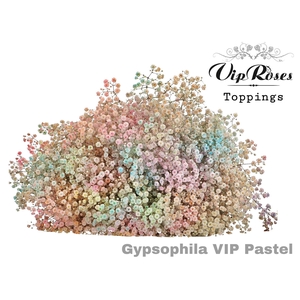 Gyps Pa Vip Pastel Mix