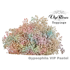 GYPS PA VIP PASTEL MIX