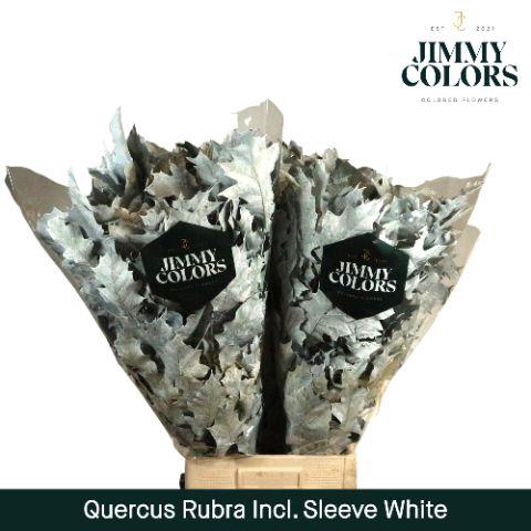 <h4>Quercus Rubra sleeve L80 White</h4>