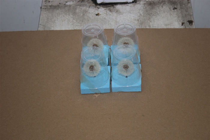 <h4>Dried Dandelion Bleach</h4>