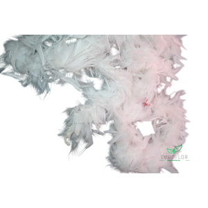 BOA CREME 37GR 180CM