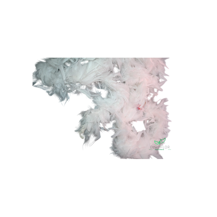 <h4>BOA CREME 37GR 180CM</h4>