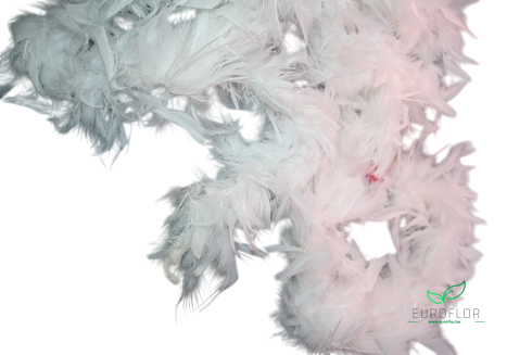 BOA CREME 37GR 180CM