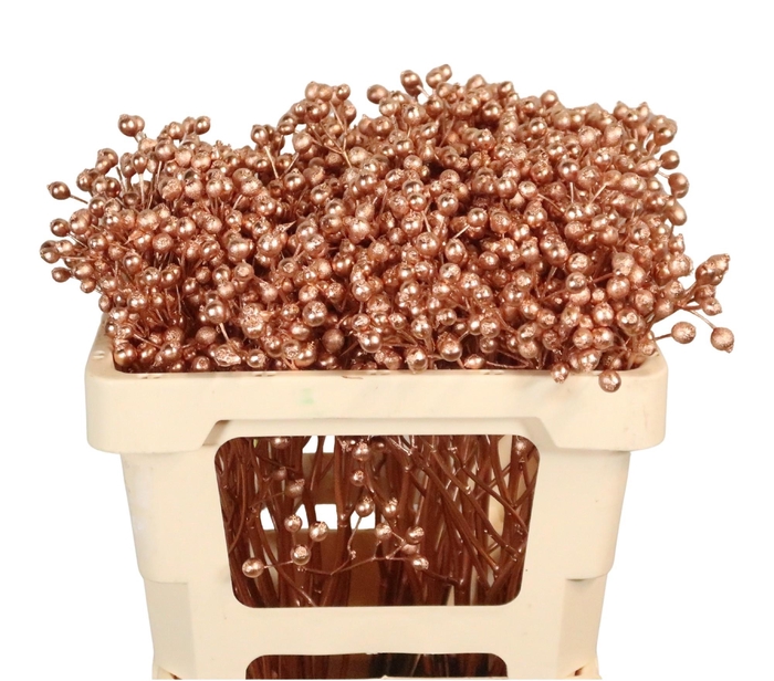 <h4>DECOGROEN OV KLB H%</h4>