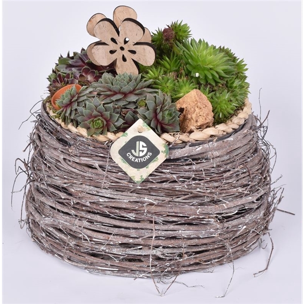 <h4>Natuur mand ww 21,5cm</h4>