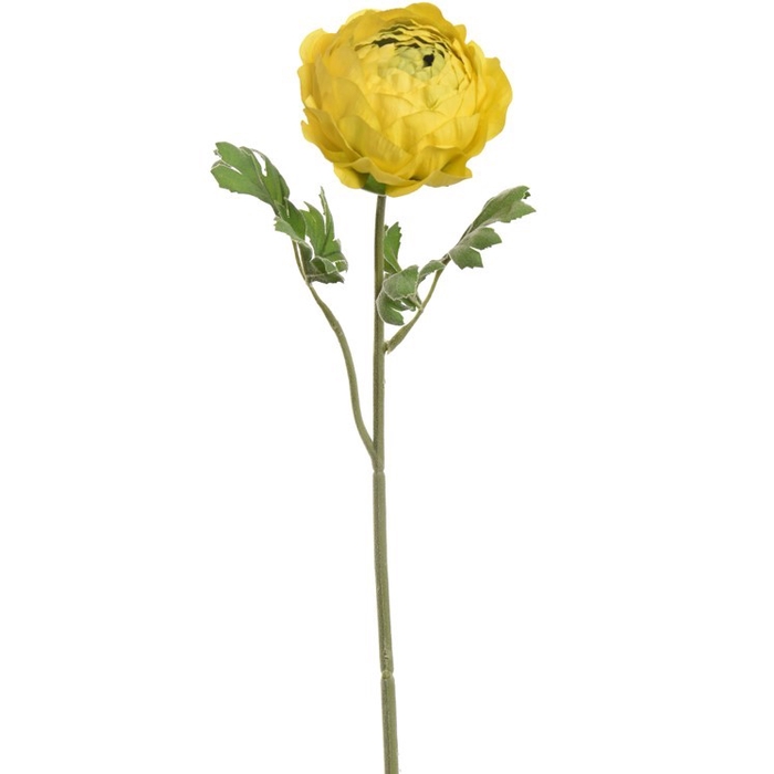 <h4>Large Ranunculus 56cm yellow</h4>