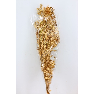 Dried Ruscus Nat Antique Gold Glitter