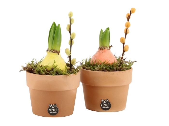 <h4>11668: Outdoor spring arrangement</h4>