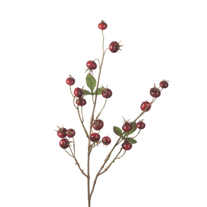 <h4>AF Rosehip Pumpkin Sp L86cm Re</h4>