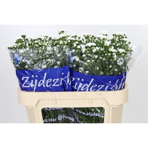 ASTER CASSY ASTER CASSY