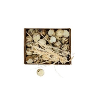 Sale Easter Egg quail shells x60