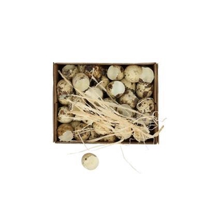 Sale Easter Egg quail shells x60