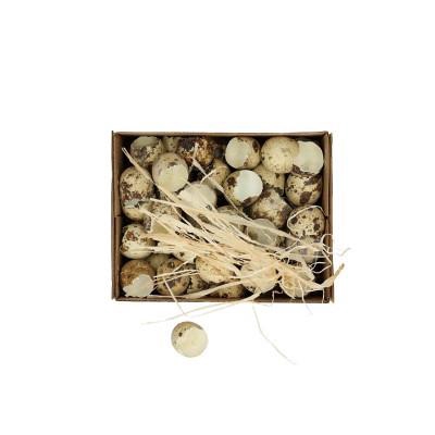 <h4>Sale Easter Egg quail shells x60</h4>
