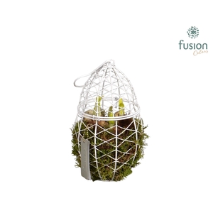 Metaal rek met Narcis Tat