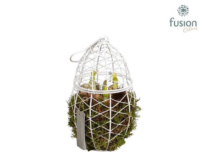 <h4>Metaal rek met Narcis Tat</h4>