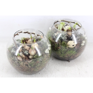 arr4 Bollenmix MB - Glas bol kl. 338/6