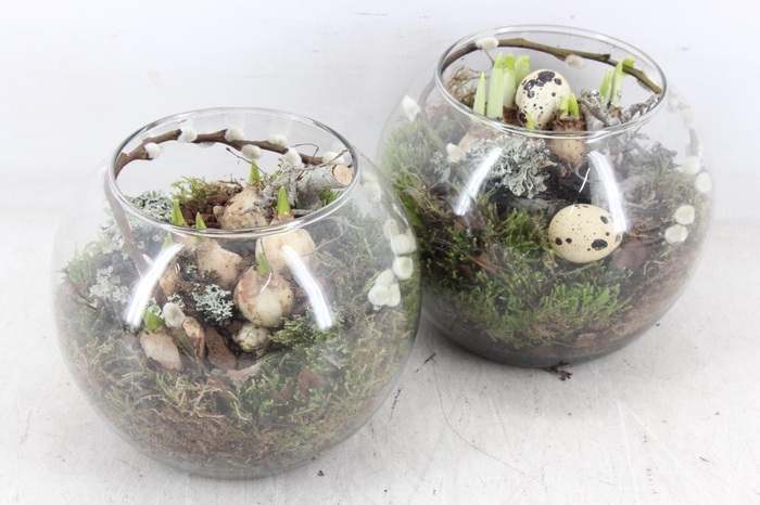 <h4>arr4 Bollenmix MB - Glas bol kl. 338/6</h4>