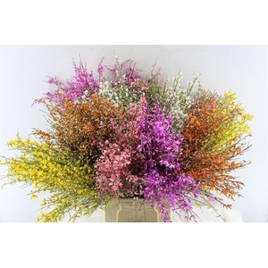 Ginster Mix 400 Gram