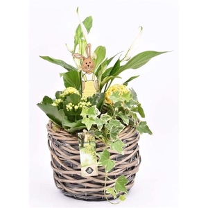 Wilg mand grijs 18cm