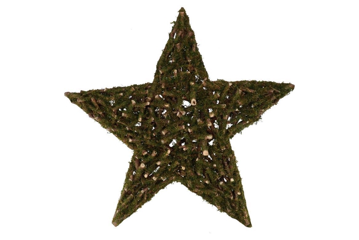 Festive Star Poplar Moss 90x90x10cm