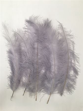 <h4>Feather Ostrich 5 Pcs L55</h4>