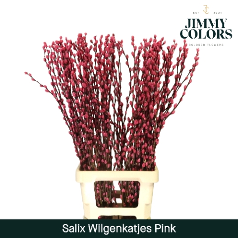 <h4>Salix Katjes L90 Klbh. Roze</h4>