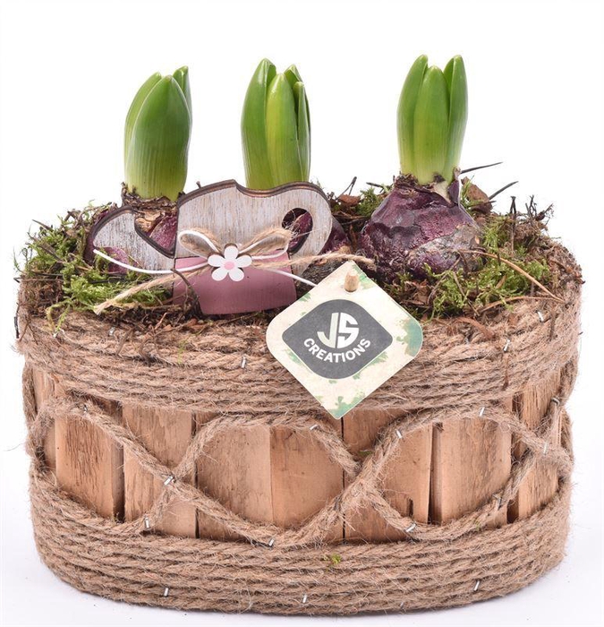 <h4>Hout ovaal met touw 21x11.5cm</h4>