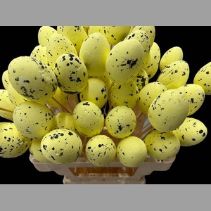 KIEVITS EI GEEL 7 CM OP STOK