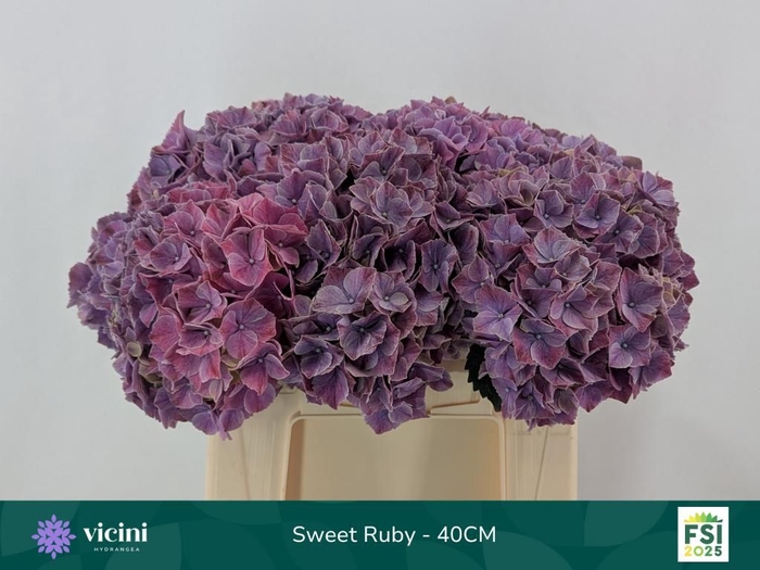 <h4>HYDR M MAG SWEE RUBY</h4>