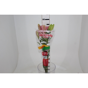 LIRIO BRINDISI 080 CM HT 2/3 FLS