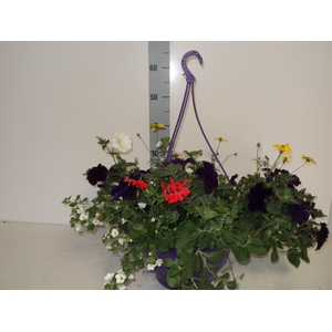 HANGING BASKETS