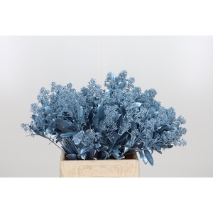 Skimmia Kl Bh Metal Licht Blauw